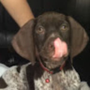 Meet your Posher, Gretchen